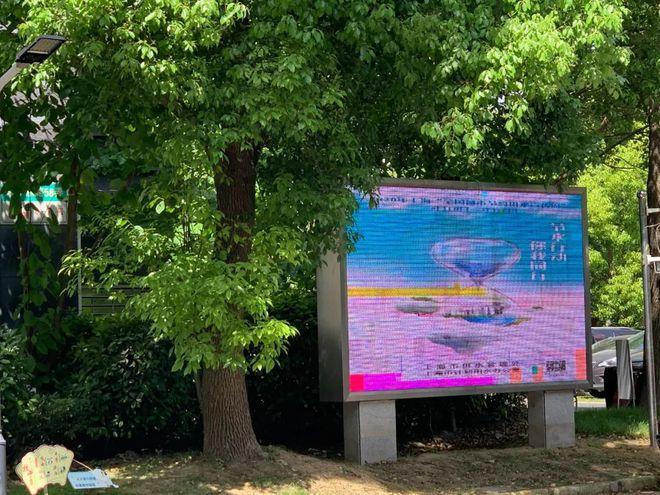 杨浦滨江雨水花园 非常规水资源利用与海绵城市建设的创新实践
